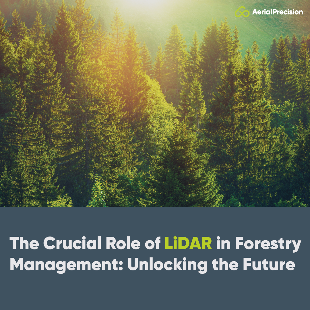 The Crucial Role of LiDAR in Forestry Management: Unlocking the Future